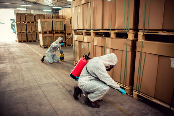 Best Pest Removal Services  in Palisades Park, NJ