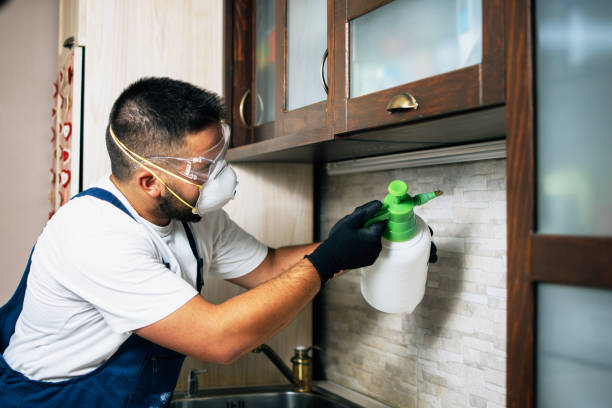 Best Local Pest Control Services  in Palisades Park, NJ