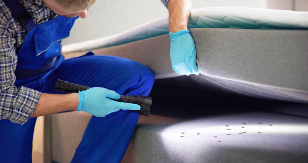 Flea Control Services in Palisades Park, NJ