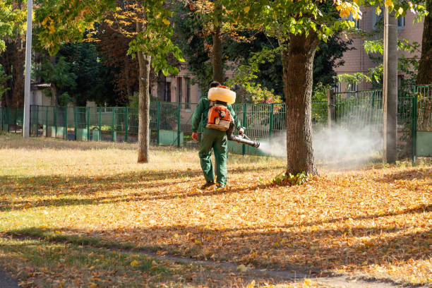Pest Control for Restaurants in Palisades Park, NJ