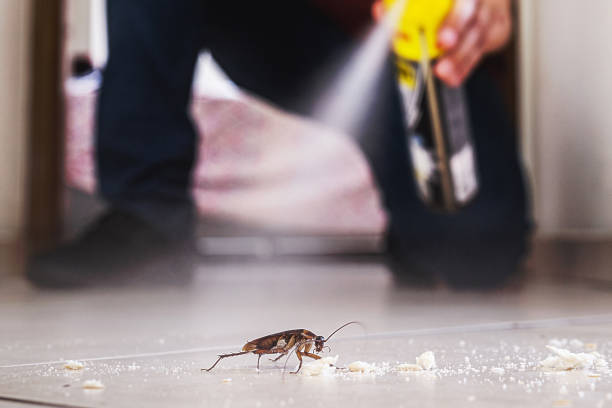 Best Insect Control  in Palisades Park, NJ