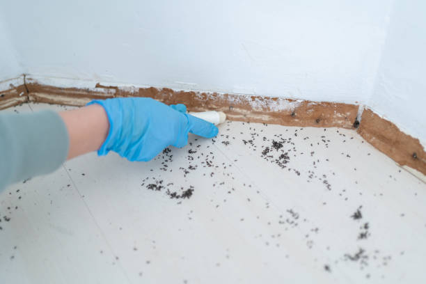 Professional Pest Control in Palisades Park, NJ