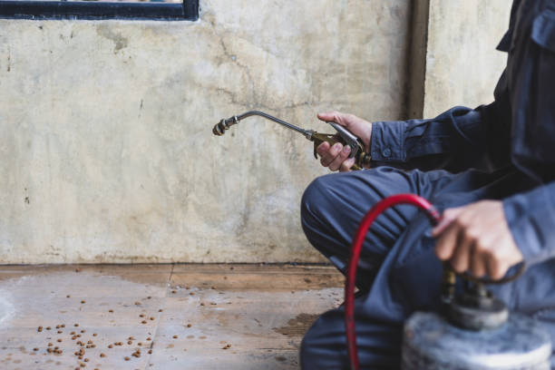 Best Mosquito Control Services  in Palisades Park, NJ