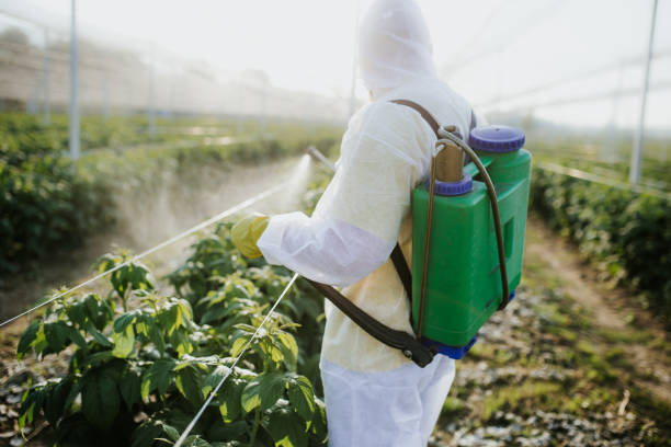 Best Emergency Pest Control  in Palisades Park, NJ